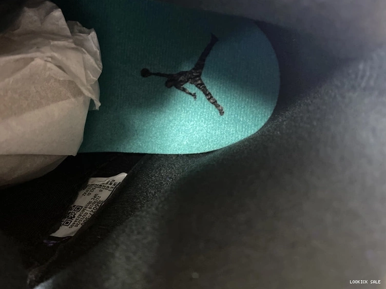 Rep Jordan Air  136027-500 “Alternate Grape” 5 0514